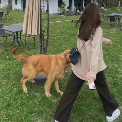 爱上你杀了你